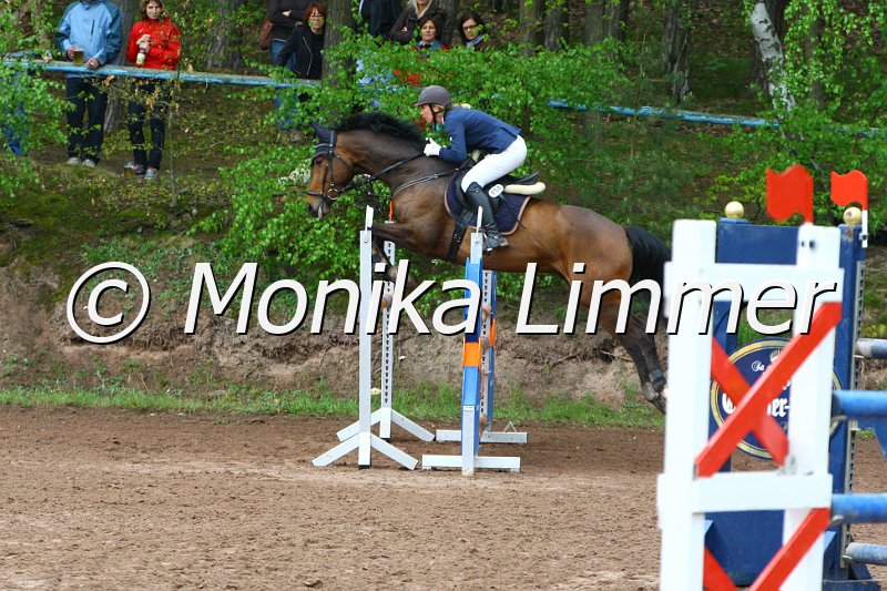 005L5359_Lando_Spring M mit Stechen.JPG